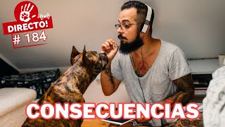 ¿CÓMO AFECTA LA HUMANIZACIÓN A LOS PERROS? 🤔 ► 🔴DIRECTO # 184