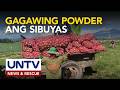Powderizing technology para sa sibuyas sa Nueva Ecija, isinusulong ng DTI