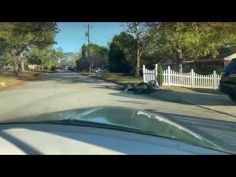 View YouTube Video of this Auction Car