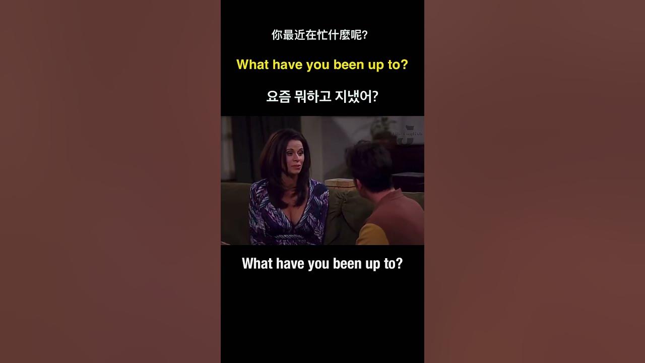 what-have-you-been-up-to