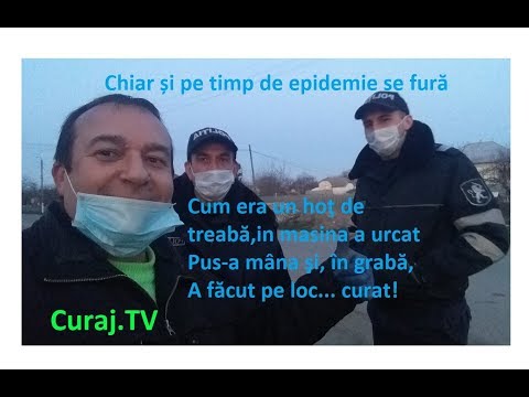 Video: Cum Se Numește O Cămilă