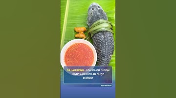 Cá lau kiếng có ăn được không #shorts #shortsyoutube #youtubeshort #shortsvideo #trending