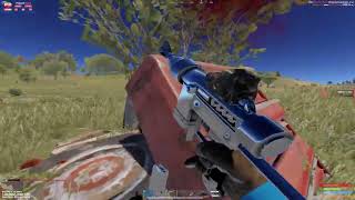 Rust Highlights PEACH RUST 261