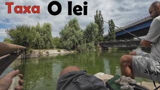 Catch More Fish For Free 🎣 Than On A Private Lake😱
