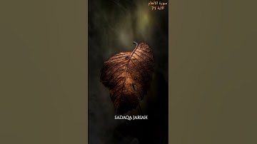 سورة الأنعام الأية 71
