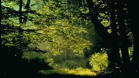 New Age Music - Piano Therapy