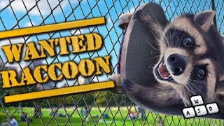 РАЗЫСКИВАЕТСЯ ЕНОТ! ► WANTED RACCOON