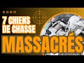 7 chiens de chasse massacrs