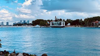 Lush Green Miami Beach 4K morning Ocean Walk w Sharkmama - Five Park, Islands x MacArthur Causeway