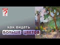 330 Как видеть больше цветов