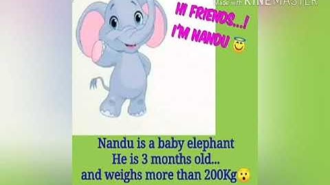 Grade 4 EVS A day with Nandu (Art)