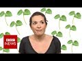 Is being vegan REALLY better for the environment?  - BBC News