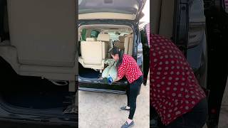 Rare Peacock Rescue! 🦚😲 Amazing Village Scene 🔥 #Peacock #Birds #Shorts