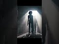 the new trailer oml