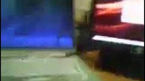 Mac OS 10.4 vs Ubuntu 7.04 vs Windows Vista Boot up compare