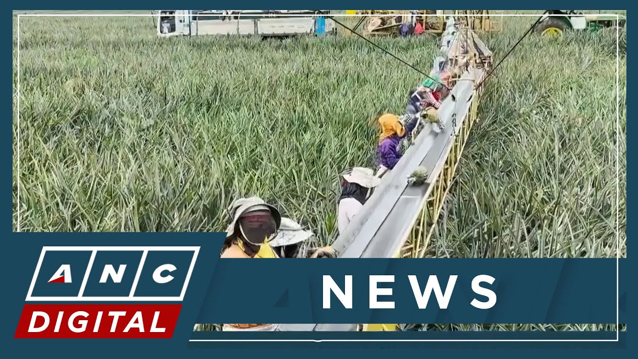 President: Scale and technology secret to Del Monte's success | ANC