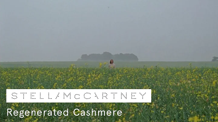 Regenerated Cashmere at Stella McCartney