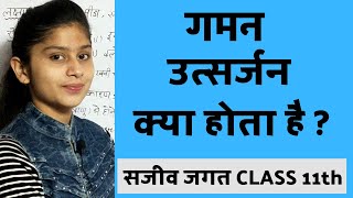 What is Locomotion | What is Excretion | Biology|  Living Word Biology Class 11