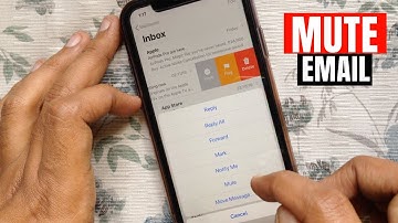 How to Mute an Email Thread in iOS 13