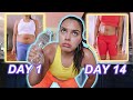 ABS IN 2 WEEKS?! I tried chloe ting's ab workouts (i'm an unfit potato🥔)