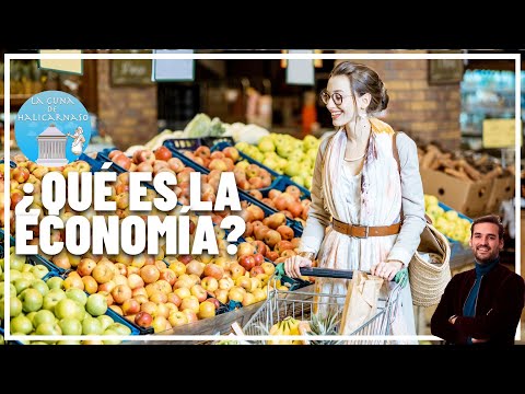 Vídeo: Què s'entén per elecció en economia?