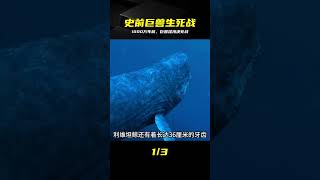 1000萬年前海底絕殺戰，兩大霸主血腥交鋒，誰才是海洋之王 #巨齿鲨，利维坦，远古巨兽，史前生物，深海