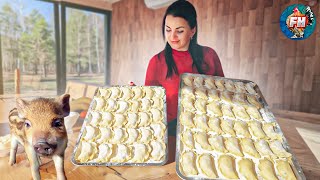 Life in the forest Cooking dumplings with blueberries Pets roam free