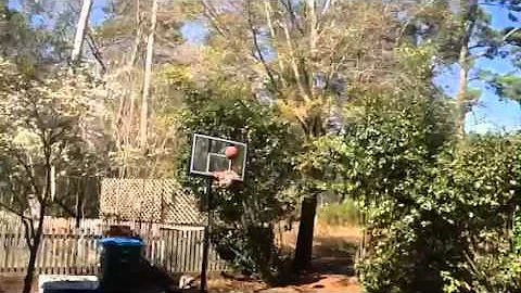 Trick shots by Luke and Jacob Shamblin