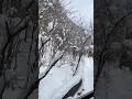 삿포로 료칸하면서 즐기는 눈내리눈 풍경 #sapporo
