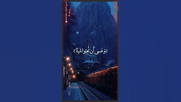 اكتب شيء تؤجر عليه ❤😴 آيات عظيمة تهز القلوب 🎧 تلاوة خاشعة لسورة البقرة بصوت يأسر القلوبQuran الدوسري