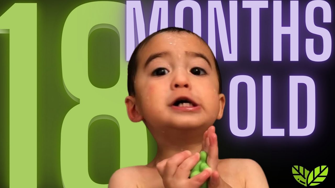 Day In The Life Of My 18 MONTH OLD toddlerlife YouTube day-in-the-life-of-my-18-month-old-toddlerlife-youtube