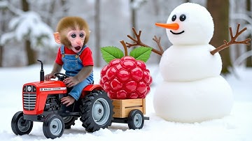 Monkey NaNa drives a tractor: The trip to plant seeds and the help from a close friend