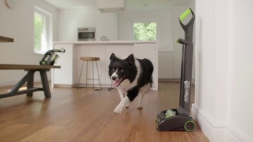 GTech K9 AirRam Product VT