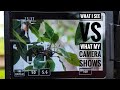 What I See Vs What My Camera Sees Tiktok Challenge Canon 80D 70 300 Mm Lens Photography Shorts