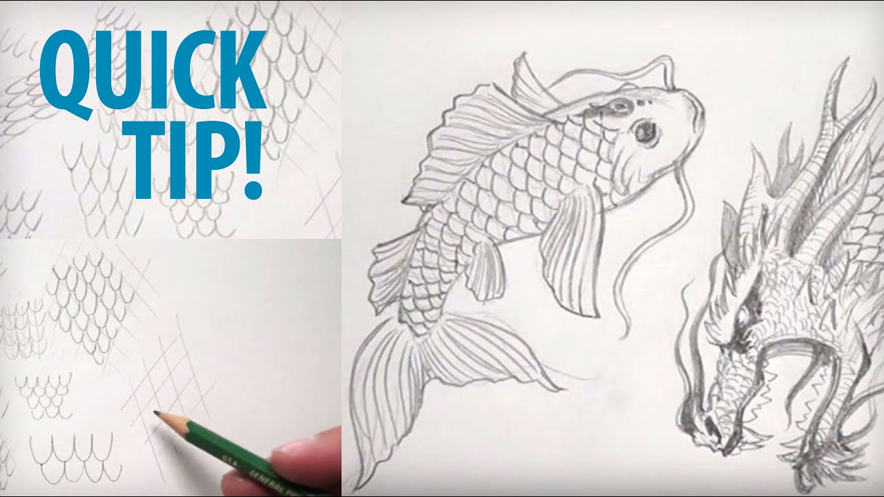 Featured image of post Fish Scales Drawing Easy Easy step by step cartoon fish drawing tutorial