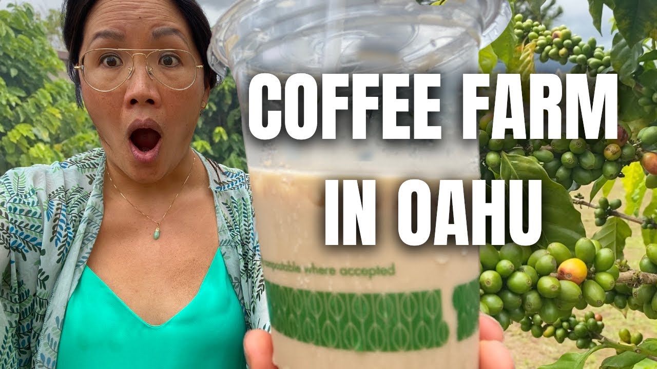 I Explore Popular Coffee Farm In Hawaii YouTube