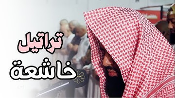 تلاوة شجيّة ما تيسر من سورة فاطر للشيخ أنس العمادي | صلاة المغرب 14 ذو الحجة 1446 هـ