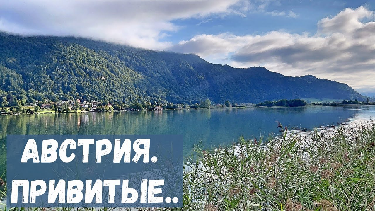 Австрия, привитые заражаются. Индийское средство.