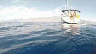 Встреча с китами около Тенерифе, 26 октября 2014(Мой первый самопальный видеоролик, он про китов. Фотки можно посмотреть в этой публикации: https://www.facebook.com/permal..., 2015-02-23T01:11:13.000Z)