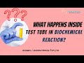 What Happens Inside a Test Tube In Biochemical Reaction? How To Read Graphs By Instrument - English