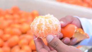 Beneficios y Propiedades de la Mandarina para la Salud