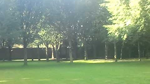 Quadcopter Crash Into Trees - MarkoeZ Multiwii