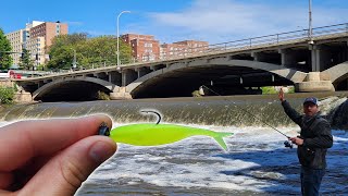 There are LOADS of BIG Fish in this Spillway! ft. @BackroadsAngling by Engineering Hooksets 10,138 views 10 months ago 15 minutes