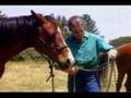 Leslie Desmond, American Horsemanship for the Young and Old