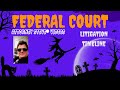 Federal Court Litigation Timeline by Attorney Steve