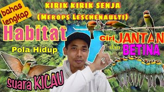 Kirik Kirik Senja, Burung Unik dan Eksotik