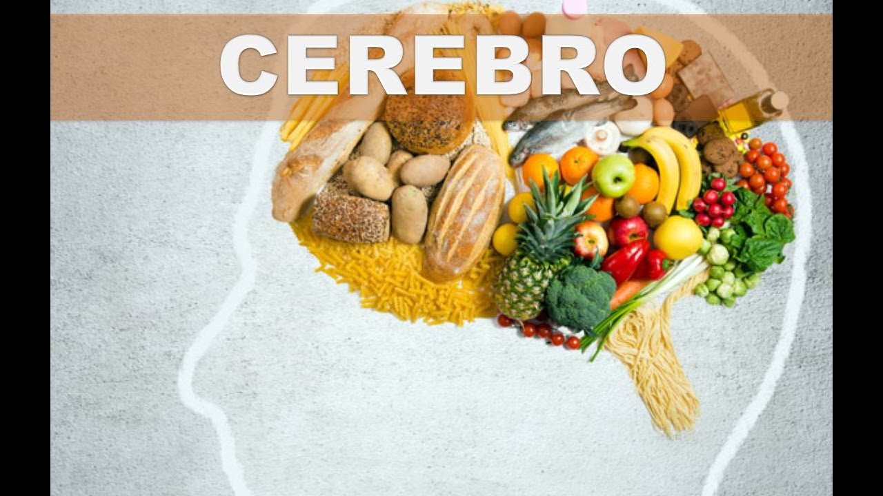 Estos son los 5 mejores súper alimentos para el cerebro y su buen funcionamiento