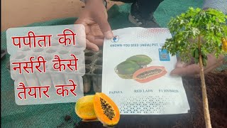 पपीता की नर्सरी कैसे तैयार करे।। Papita ki nursery kaise taiyar kare।।Adarsh Kisan Mart