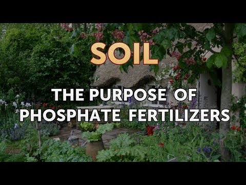 Video: Phosphate Fertilizers: Why Are They Necessary?