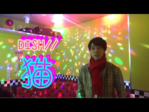 【猫/DISH//】原曲キーで歌ってみた！